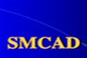 膜结构设计软件SMCAD