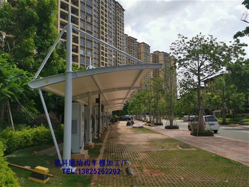 脊谷式膜面详细介绍